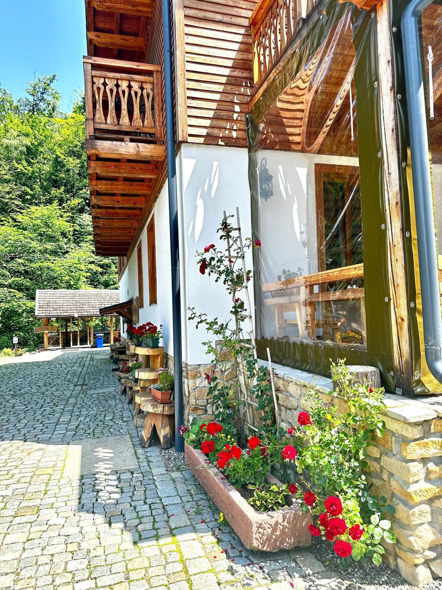 Willa Orle Gniazdo Biala Woda Dış mekan fotoğraf